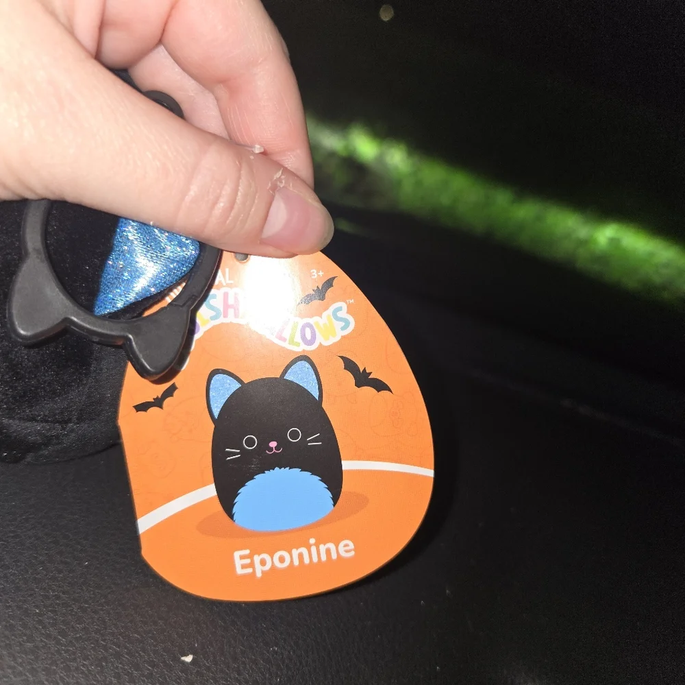 Eponine the Black and Blie Cat Squishmallow Clip